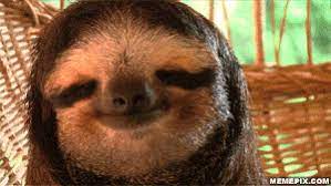 Ai Meu Cu Sloths Funny Sloth Gif Sloth Meme