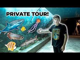 Monster Fish Aquarium Tour