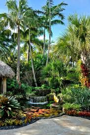 Some common plants are rosemary, lavender, primrose, lantana, four o'clock and periwinkle, grow them in sunny. Tropical Garden Design Ideas Your Staycation Oasis Easy To Grow Bulbs