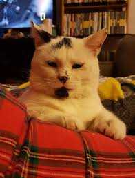 Vote for Matilda in baby contest