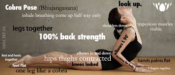 Cobra Pose Bikram Yoga Poses Cobra Pose Yoga Bikram Yoga