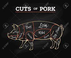 Use caution when carrying and cleaning sharp dissection tools. Pig Butcher Chalkboard Scheme Pork Meat Cut Parts Hand Drawn Royalty Free Cliparts Vectors And Stock Illustration Image 92547328