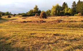 Légifolyosók magyarországon / batthyány tér térkép | térkép 2020 : Boglya Okologia Elet A Szalmaban Szenaban Pusztan Reten Cenweb