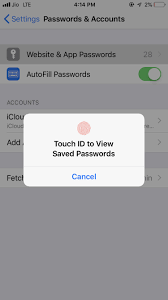 How to show passwords in chrome. How To View Saved Passwords And Credit Cards In Iphone Running Ios 12