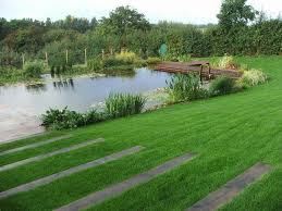 Natural Swimming Pond Faversham Kent Wasser Im Garten Gartengestaltung Wassergarten