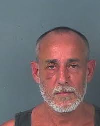 HCSO Arrests Public Records Results