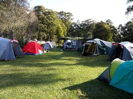 Monte lake campground & rv park short term forecast. Mount Royal Camping Area Lake St Clair Barrington Tops