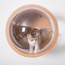Mat pet beds are just a soft pad without walls, and they are preferred by a minority. Myzoo Spaceship Gamma Wall Mounted Cat Bed Open On The Left Walnut Mz Ss Gamma L O