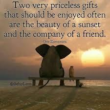 So True Sunset Quotes Friends Quotes Elephant Quotes Show your best friend how much you care with these 200 quotes.