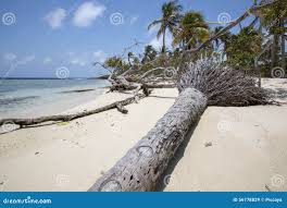 Parque Nacional De Morrocoy, Un Paraíso Con Los árboles De Coco, San Blanco  Imagen de archivo