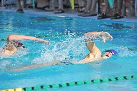 Shark swimmers grab third place