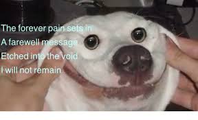 Dogs are one of the first animals to be taught to work alongside man. 25 Best Memes About Farewell Farewell Memes