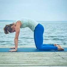 Basic yoga positions are a great way to start your day. 18 Morning Yoga Stretches And Poses To Start Your Day Yoga Basics
