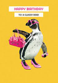 Check spelling or type a new query. 69 Funny Birthday Card Messages Wishes Quotes Funky Pigeon Blog