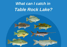 Fishing On Table Rock Lake Everything You Need To Know