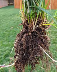 Download free books in pdf format. This Ain T No Hobby Kevin Kisner Mountain View Seeds Facebook