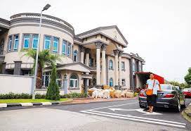 Kucing peliharaan dato aliff syukri dodi beranak masa majlis dirumahnya berlangsung. Aliff Syukri Akui Mahu Jual Rumah Bak Istana Pada Harga Rm43 Juta