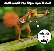 هههههههههههههههههه Animals Bird 21st