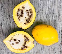 Image result for Carica