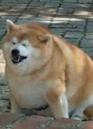 Check spelling or type a new query. 1 0 8 0 X 1 0 8 0 G A M E R P I C P U P P Y Zonealarm Results