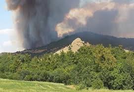 Σύμφωνα με τον αντιπεριφερειάρχη έβρου, δημήτρη πέτροβιτς, «η φωτιά μαίνεται ανεξέλεγκτη στο βόρειο τμήμα του οικισμού». Ay4pyhi3 33idm