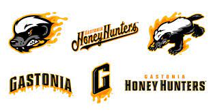 Gastonia fire ants, gastonia hogzillas, gastonia honey hunters, gastonia hotshots, and gastonia uppercuts. New For 2021 Gastonia Honey Hunters Ballpark Digest