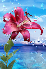 Free download samsung galaxy s4 home. Nature Hd Wallpapers For Android Mobile Full Screen