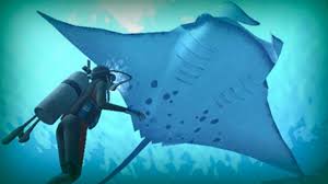 Poshmark makes shopping fun, affordable & easy! Manta Ray A Giant Of The Ocean Youtube