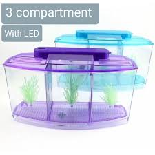 Betta fish are not a particularly though the tetra led half moon betta aquarium is at the smaller end of the size spectrum, it still. Local Supplier 3 Compartment Betta Tank Fish Tank For Fighting Fish Tank Come With Light Shopee Singapore