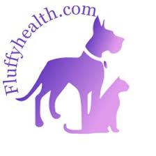 In addition, fruits high in vitamin c like oranges are safe for dogs to eat, but not the peel, as this is toxic to dogs (and cats). Can Cats Eat This