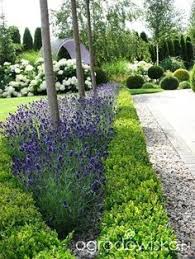 Garten Gartenforum Green Seite Trawce On The Green Trawce Seite 365 Gartenfo Garden Landscape Design Front Yard Landscaping Garden Design