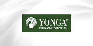 yonga mobilya yonga hisse senedi anapara com