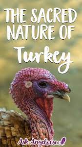 7 Meanings Of Turkey Symbolism What Is The Meaning Of Turkeys Crossing Your Path Ask Angels Com Animal Spirit Guides Spirit Animal Totem Animal Symbolism