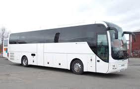 Animal control was called to pick up three animals living with the man in the bus. Bus 50 Pax Man Lions Coach 2014 Images