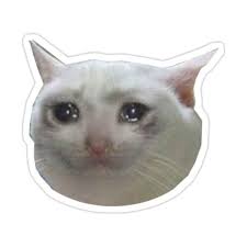 Crying Cat Jpg Sticker By So Basically I M Baby In 2021 Cat Crying Meme Stickers Stickers