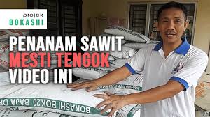 Cara sederhana membuat pupuk bokashi cair dan padat dari limbah dapur skala rumahan. Projek Bokashi Melipatgandakan Hasil Tanaman Dengan Mikrob Asli Berfaedah