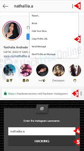 Hacking Instagram Online Instagram Password Hack Hack Password Password Cracking