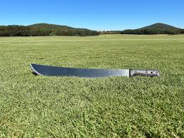 Bilderesultat for Machete