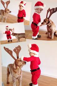She took them to the popular forest park in st. 17 Most Creative And Funny Christmas Photos Plus Sayings And Quotes Craft Mart