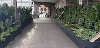 Lurgan Greenhouse S Beautiful Poinsettias And Holiday Greens Ship Saves