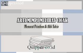 Sejak zaman dulu manusia telah mengenal mimpi dengan berbagai gambaran yang. Arti Mimpi Melihat Cicak Menurut Primbon Ahli Tafsir