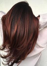 60 Trendy Hair Color Dark Brown Redheads Hair Darkbrownhair In 2020 Brunette Hair Color Hair Color Auburn Summer Hair Color For Brunettes