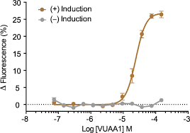 Home team aka shawn doran my superman came in and addressed the issue on every level!!!i. Putative Ligand Binding Sites Of Two Functionally Characterized Bark Beetle Odorant Receptors Springerlink