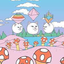 20 3 Mil Me Gusta 183 Comentarios Ripndip Ripndip En Instagram Amsterdam Pop Up Fri Sat And Sun Ripndip Wallpaper Cool Posters Psychedelic Art