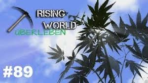 18 new rules for protecting yourself and others. Rising World Uberleben Hanf Und Wolle Gameplay Deutsch 89 Youtube