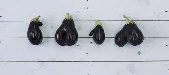 Gemuseretter Etepetete Aubergine Obst Und Gemuse Bio Online Shop Bio