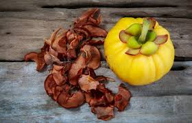 Image result for Garcinia acutifolia