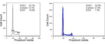 Check spelling or type a new query. Cell Cycle Analysis With Flow Cytometry Propidium Iodide Abcam