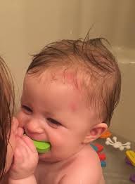 Couple days old from my son falling over my tomatoe , is she done for?