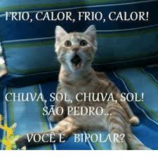 Your meme was successfully uploaded and it is now in moderation. 25 Best Memes About Sao Pedro Sao Pedro Memes